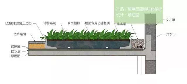 這是屋頂綠化的效果圖