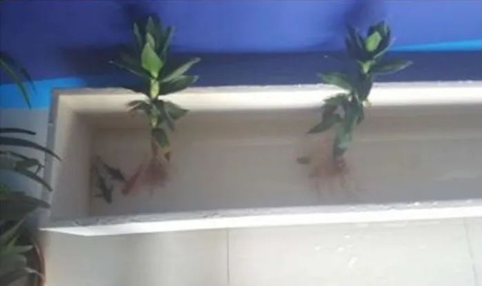 丙烯酸鹽噴膜防水材料 丙烯酸鹽噴膜防水材料