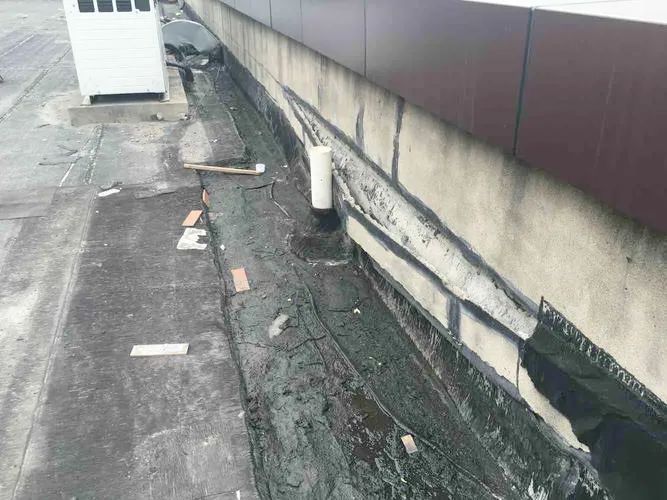 龍粘高分子自粘膠膜防水卷材 龍粘高分子自粘膠膜防水卷材