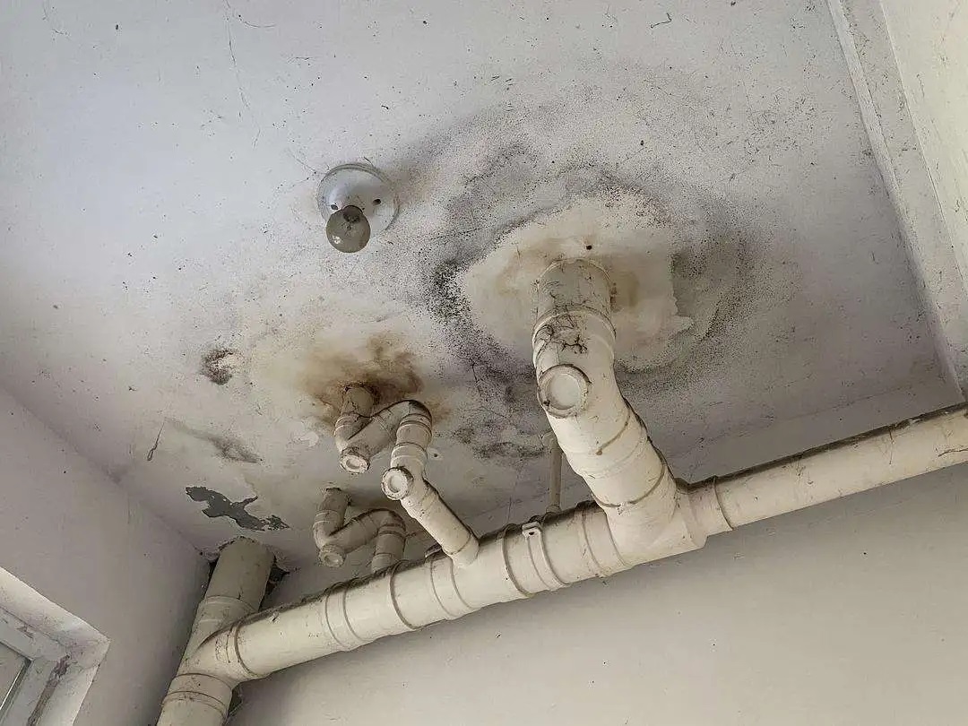 衛(wèi)生間漏水反復(fù)修不好？一文教你徹底根治！