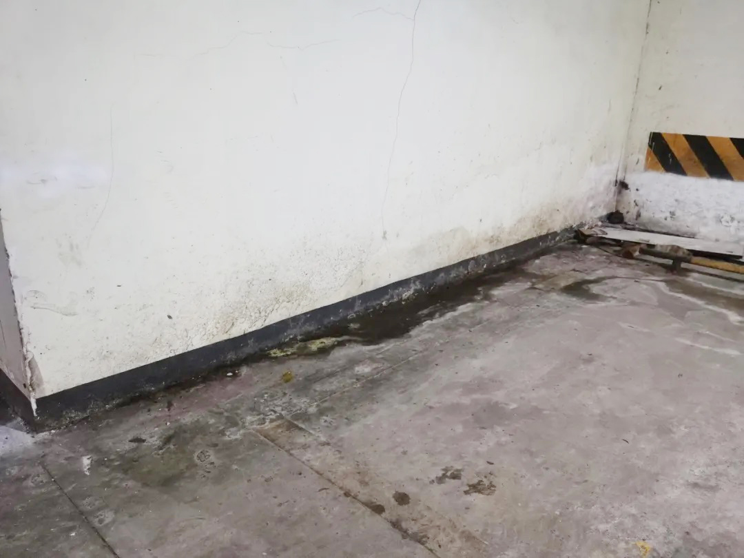 防水層泛白？別急著鏟！90%的人都不知道的真正原因在這里！